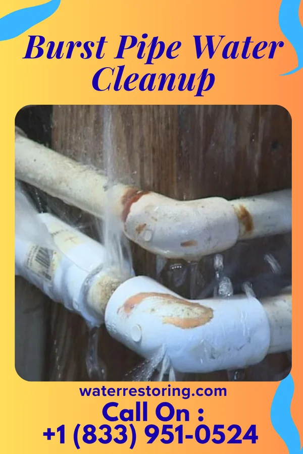 Burst Pipe Water Cleanup in Leilani Estates, HI