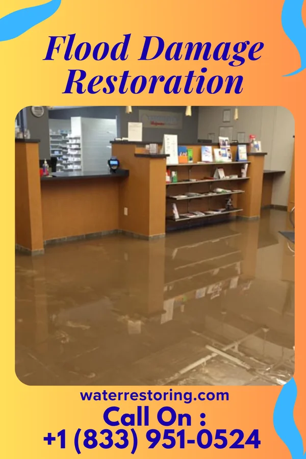 Flood Damage Restoration in Leilani Estates, HI