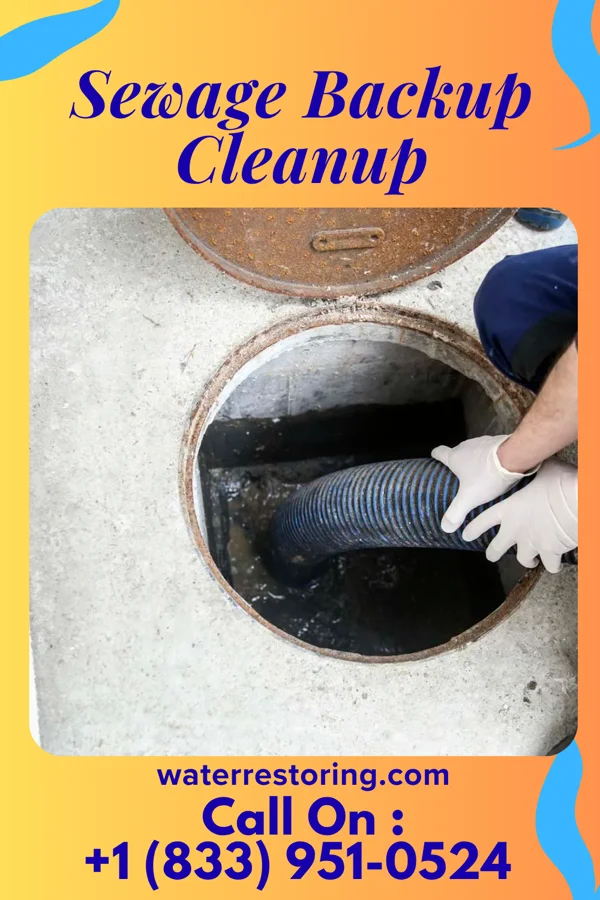 Sewage Backup Cleanup in Leilani Estates, HI