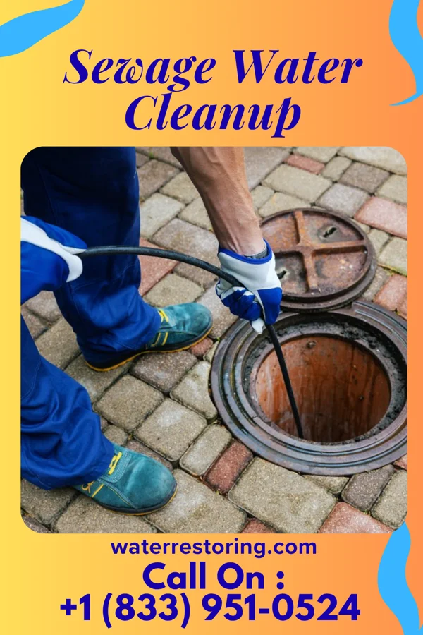 Sewage Water Cleanup in Leilani Estates, HI