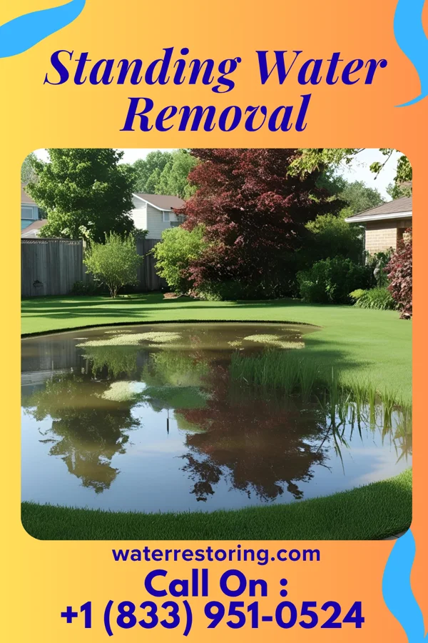 Standing Water Removal in Leilani Estates, HI